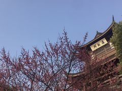 -范蠡湖公园