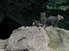 -崂山九水游览区