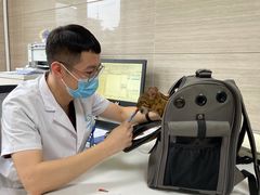 -北京观赏动物医院·24小时大型综合·猫专科·异宠专科