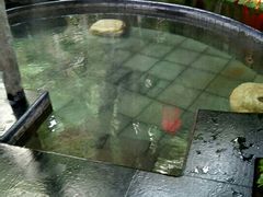 -东方华地城湿地温泉度假区