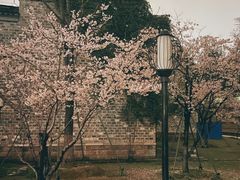 -老门东历史文化街区