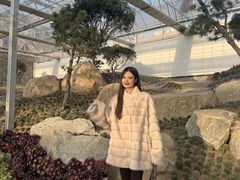 -沂蒙云瀑洞天景区