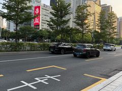 -深圳国际园林花卉博览园