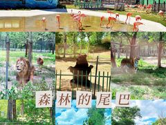 -秦皇岛野生动物园