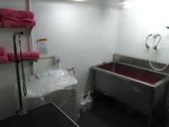 -可爱是宠物(容辰庄园店)