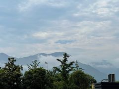 -好灶头妈妈菜·千岛湖柴火鱼餐厅(桐庐店)