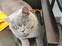 -二里咖啡(上堡公寓店)