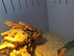 -昆明大悦城未来动物城(螺蛳湾中心店)