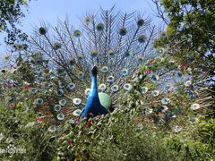 -雪山彩虹谷景区