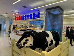 -红星前进面包牛奶公司(君太店)