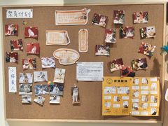 -滚猫咖啡·猫咖·猫友好撸猫(未来城店)