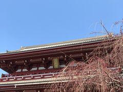 -浅草寺