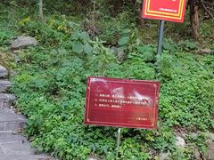 -王顺山国家森林公园