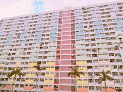 -彩虹村