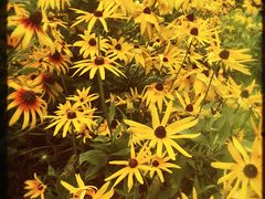 -上海滴水湖皇冠假日酒店