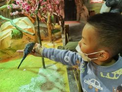 -酷嗒动物文化乐园(cutezoo西溪乐天城店)