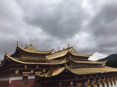 -四川郎木寺