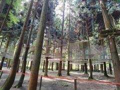 -武陵山森林公园