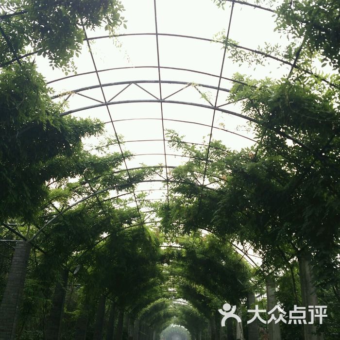 秀山美地休闲农庄图片-北京采摘/农家乐-大众点评网