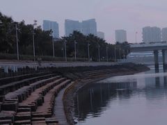 -五缘湾湿地公园
