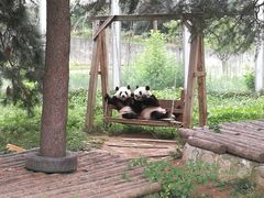 -西安秦岭野生动物园