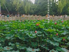 -星巴克(西湖天地店)