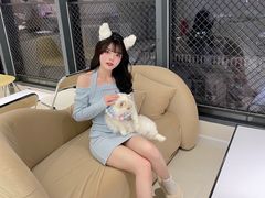 -怪兽屋·羊驼·猫咖·狗咖(俊华广场店)