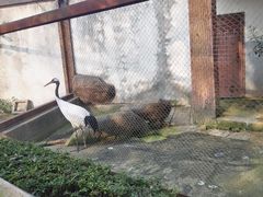 -南昌动物园