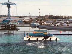 -秦皇岛乐岛海洋王国