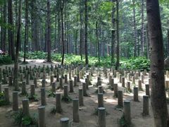 -洛阳白云山景区