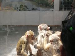 -西安秦岭野生动物园