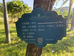 -金鸡岭桥头公园