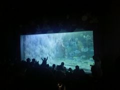 -台州海洋世界