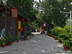 -合肥滨湖国家森林公园