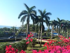 金棕榈酒店-三亚亚龙湾金棕榈度假酒店