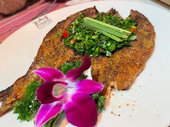 -香巴拉云南餐厅(华莱坞店)