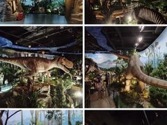 -陕西自然博物馆