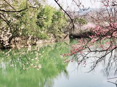 -西溪国家湿地公园