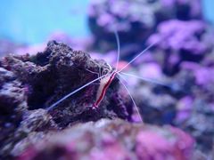 -鹿儿岛水族馆