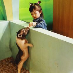 -酷嗒动物文化乐园(cutezoo西溪乐天城店)