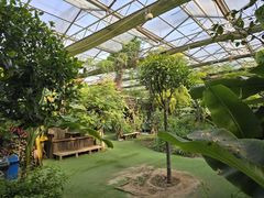 -呀路古热带植物园