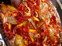 -三道苗苗鱼·美蛙黄辣丁(八里店)