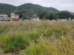 -玫瑰海岸文化旅游度假区