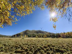 -塞罕坝国家级自然保护区