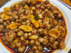 -红辣椒八爪鱼特色韩国料理