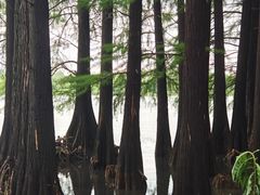 -东湖落雁景区