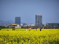 -三垟湿地