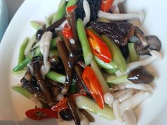 羊肚菌时令炒素-上海小南国(世博源店)