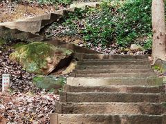 -上海佘山国家森林公园天马山园