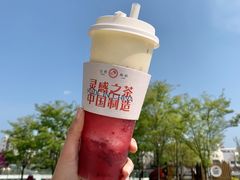 多肉杨梅-喜茶(青岛金狮广场店)